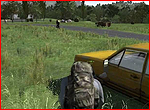 DayZ